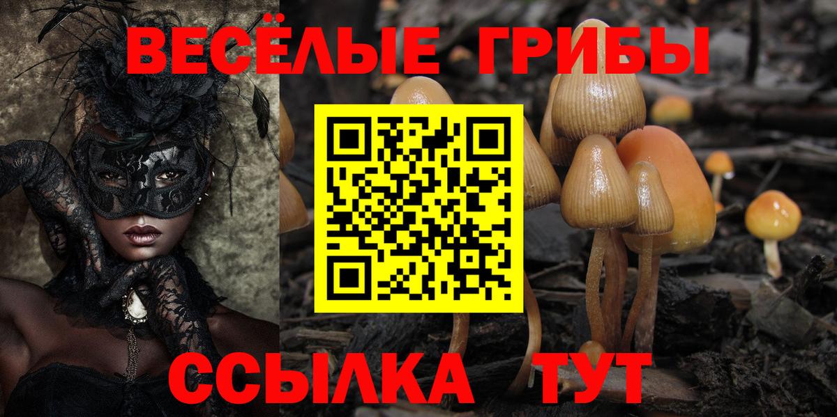 Борисоглебск  Галлюциногенные грибы прущие грибы  Псилоцибиновые грибы прущие грибы  Вход с VPN 