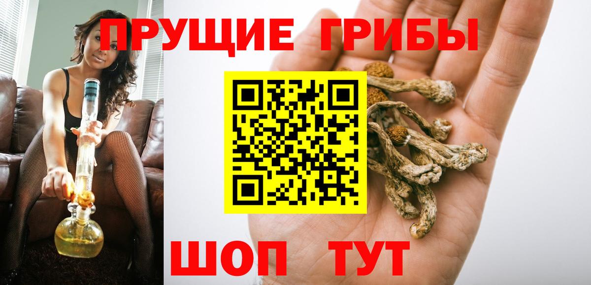 Галлюциногенные грибы Cubensis Борисоглебск